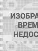 Александр Гриневын намтар