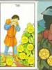 Minor Arcana Tarot Seven of Pentacles: meaning and combination with other cards