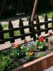 Photo ideas of a beautiful flower bed with your own hands from improvised materials