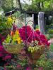 Beautiful design of flower beds and flower beds near the house Place flower beds in front of the house