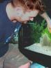 Cleaning and caring for the aquarium